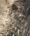 09Gobustan